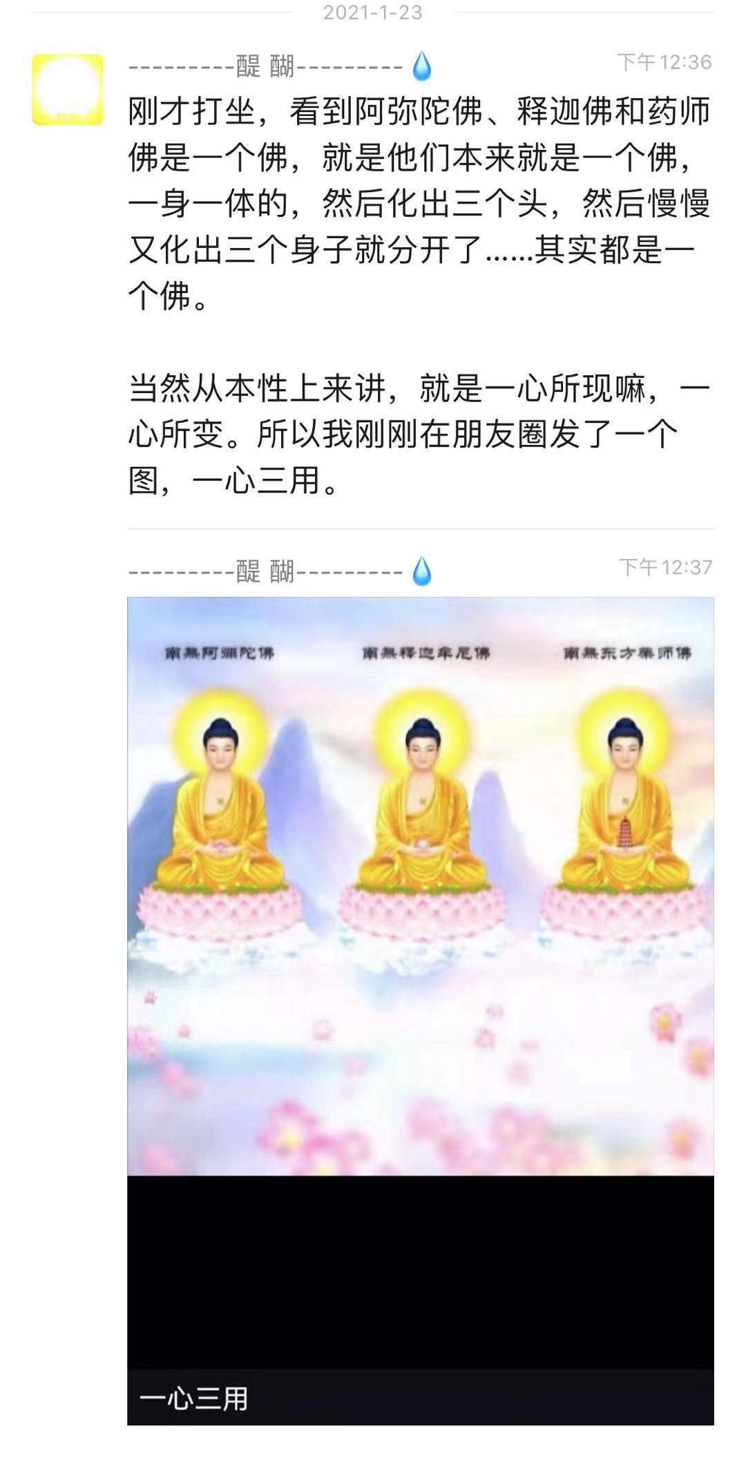 刚才打坐，看到阿弥陀佛、释迦佛和药师佛是一个佛