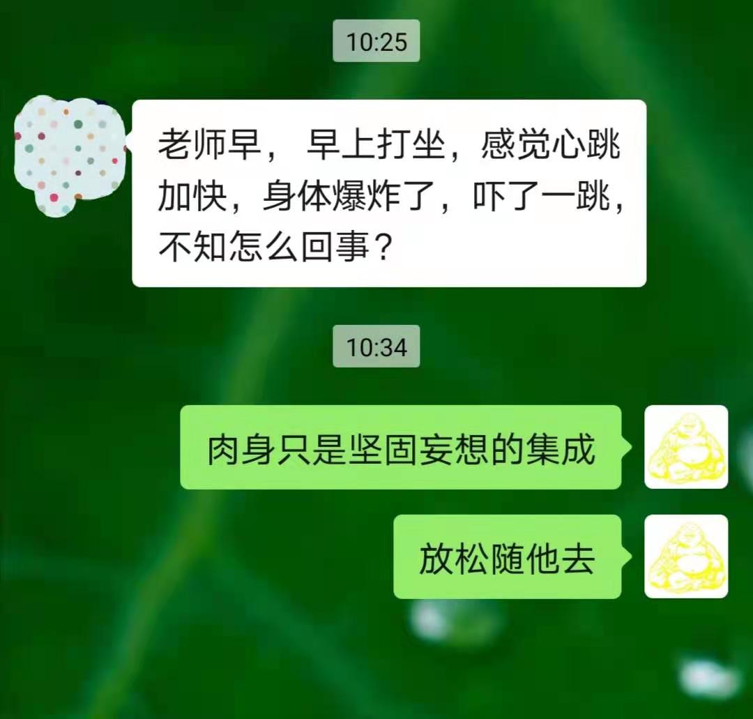 肉身只是坚固妄想的集成，  放松随他去