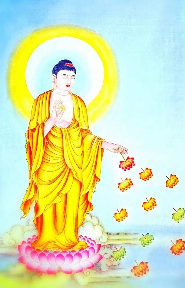 如母夜神周来去