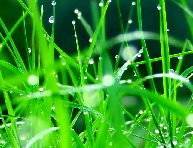 温婉可人有妙德