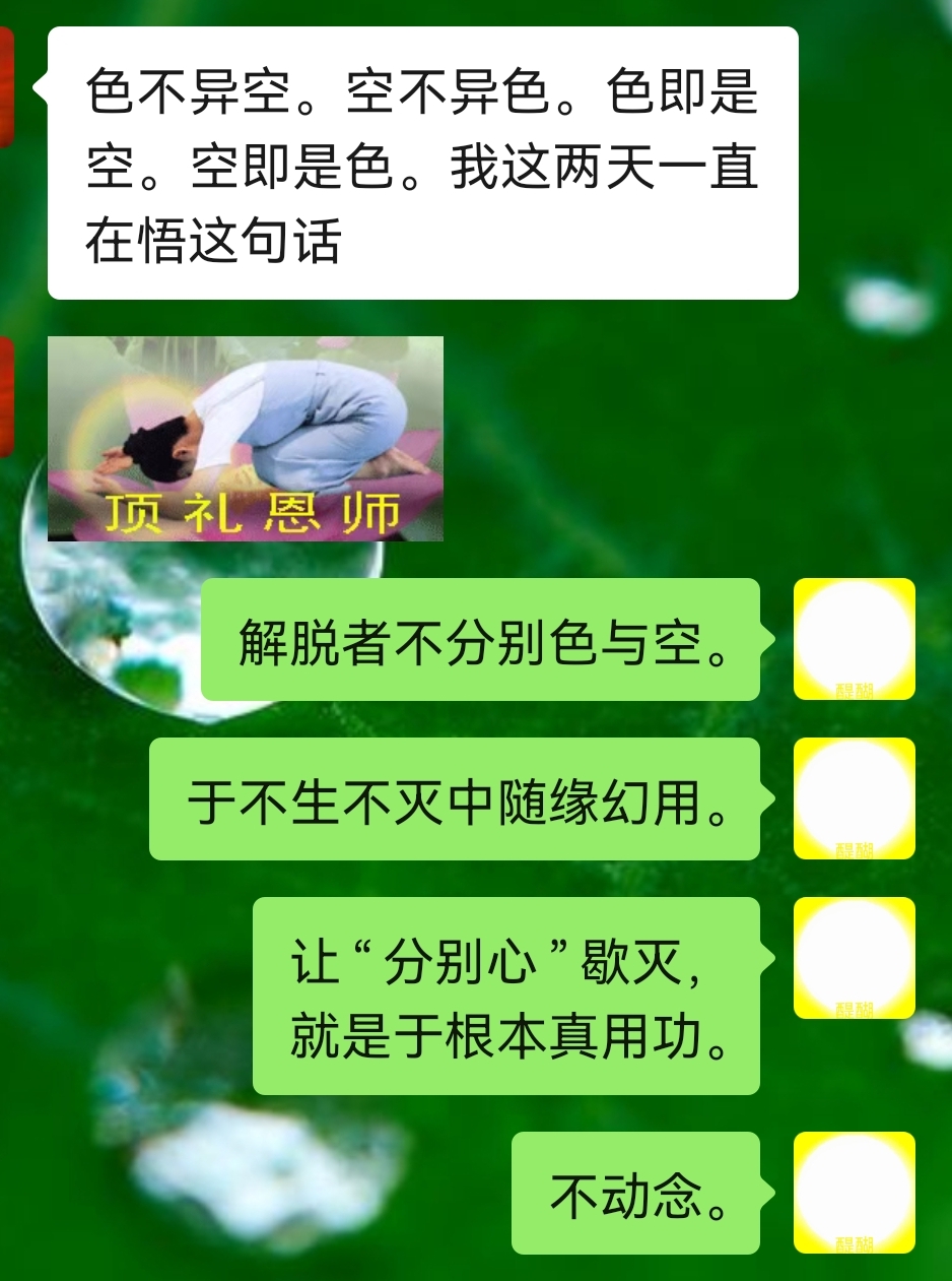 解脱者不分别色与空