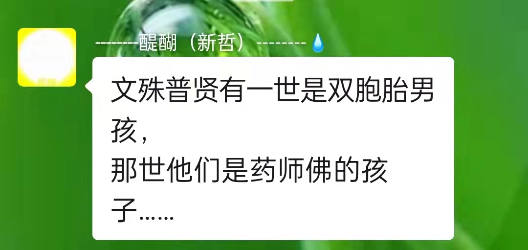 文殊普贤有一世是双胞胎男孩，那世他们是药师佛的孩子……