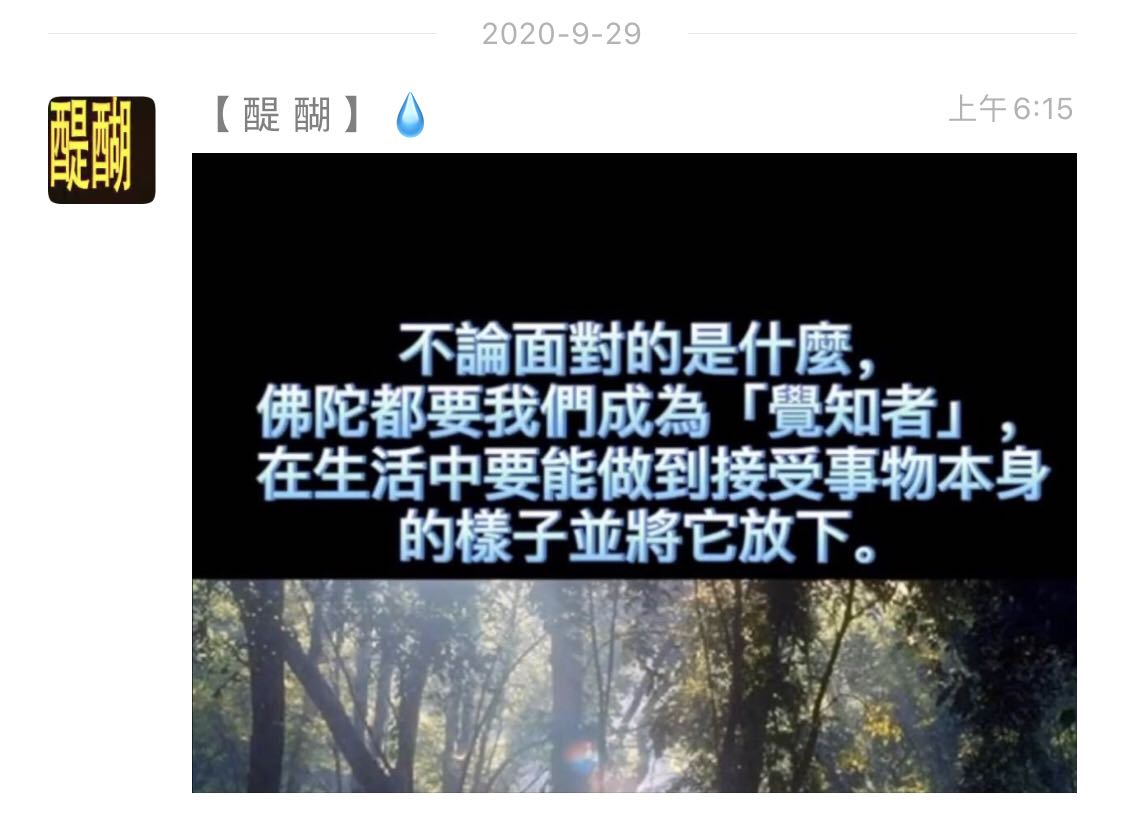 不论面对的是什么，佛陀都要我们成为觉知者，在生活中能做到接受事物本身的样子并将它放下。