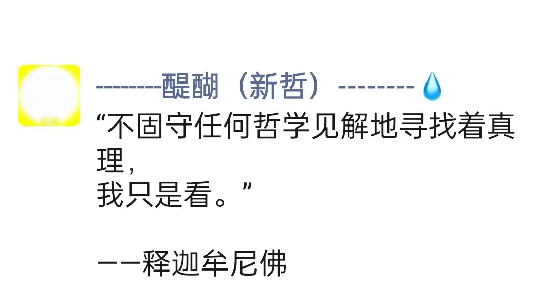 不固守任何哲学见解地寻找着真理，我只是看。