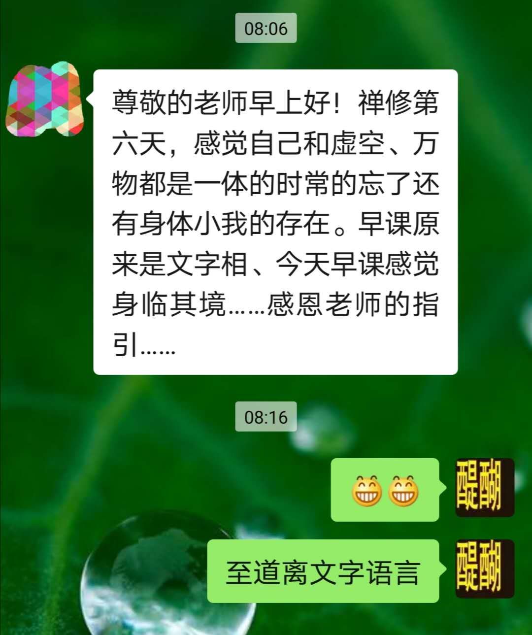 至道离文字语言