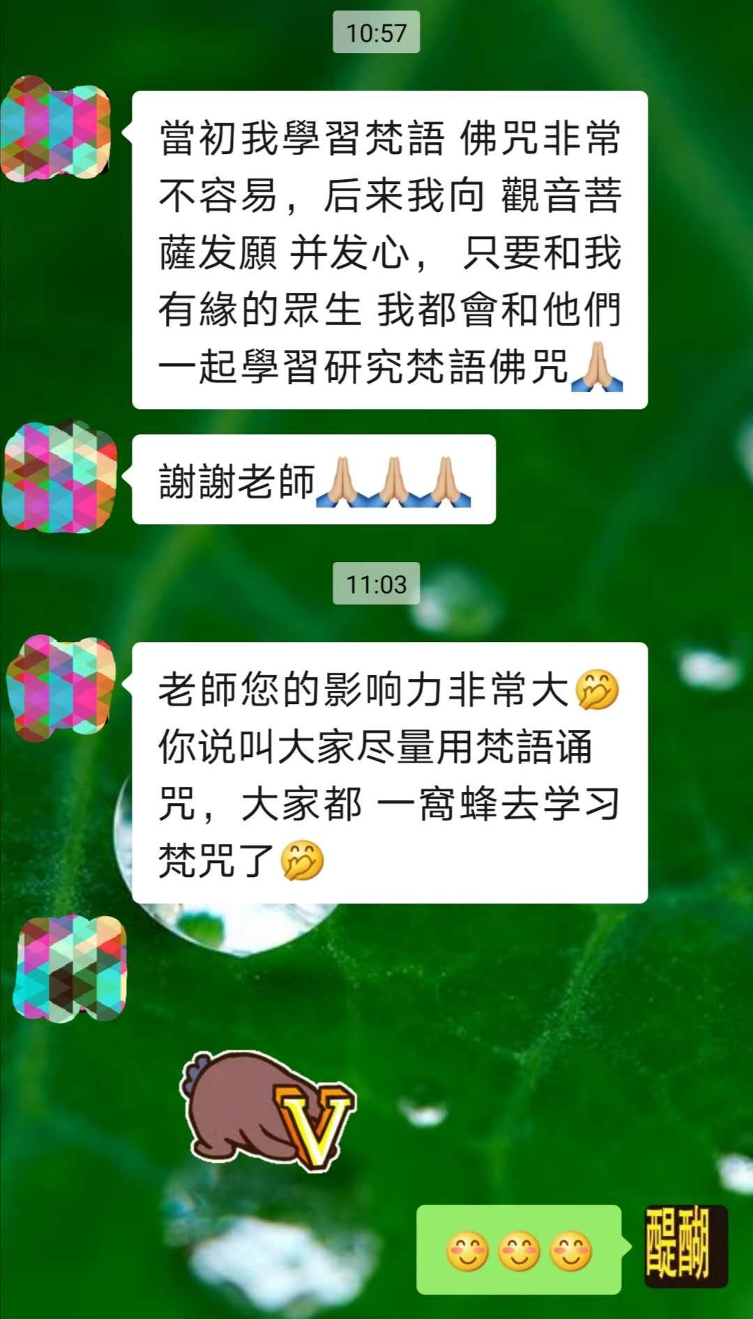 祈竹仁波切也说：“持咒的时候，如果能依据最准确的梵文咒音诵持，自然是最好不过的