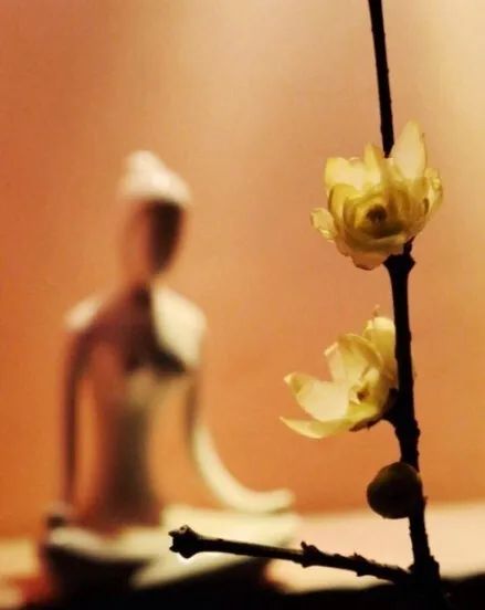 《二十亿耳弹琴》的故事（六度故事—精进）