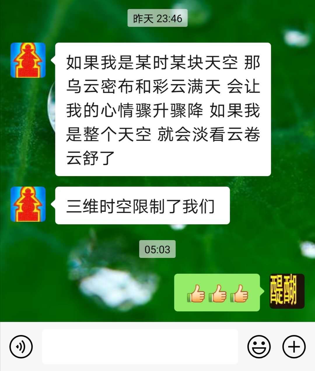 如果我是整个天空