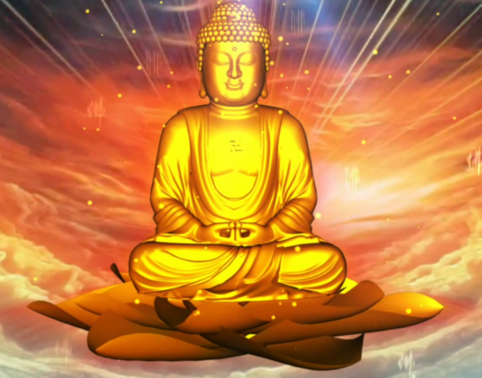 一个精进的故事：五百只蝙蝠