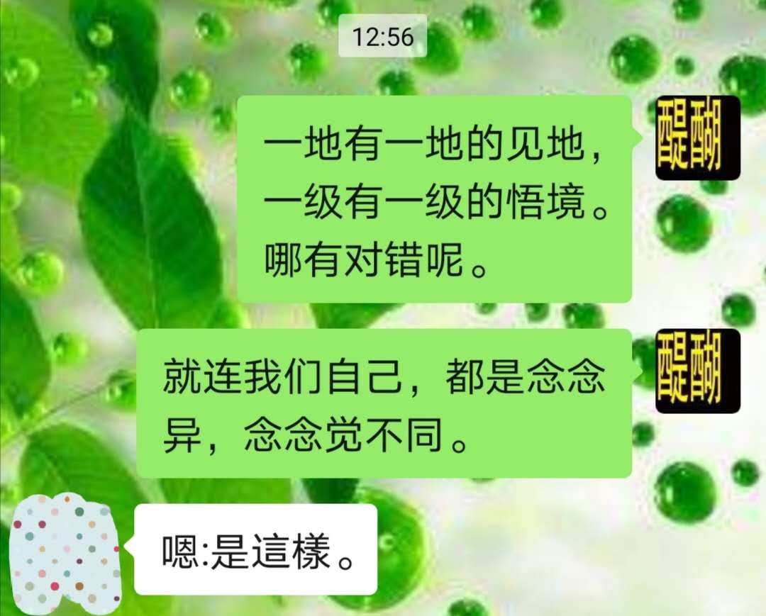 一地有一地的见地,  一级有一级的悟境。  哪有对错呢。