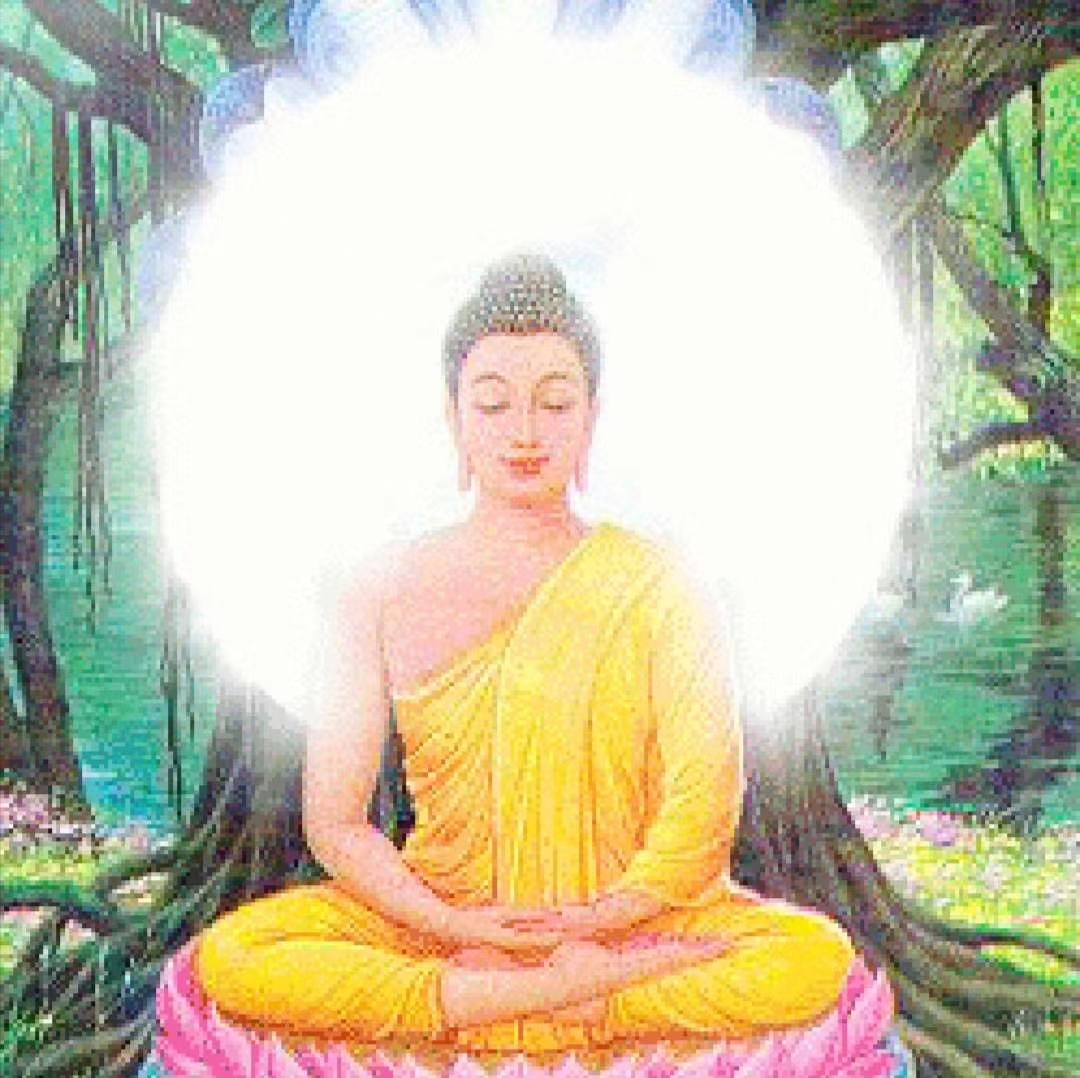 最好的禅定就是保持一颗“清空所有”的心。