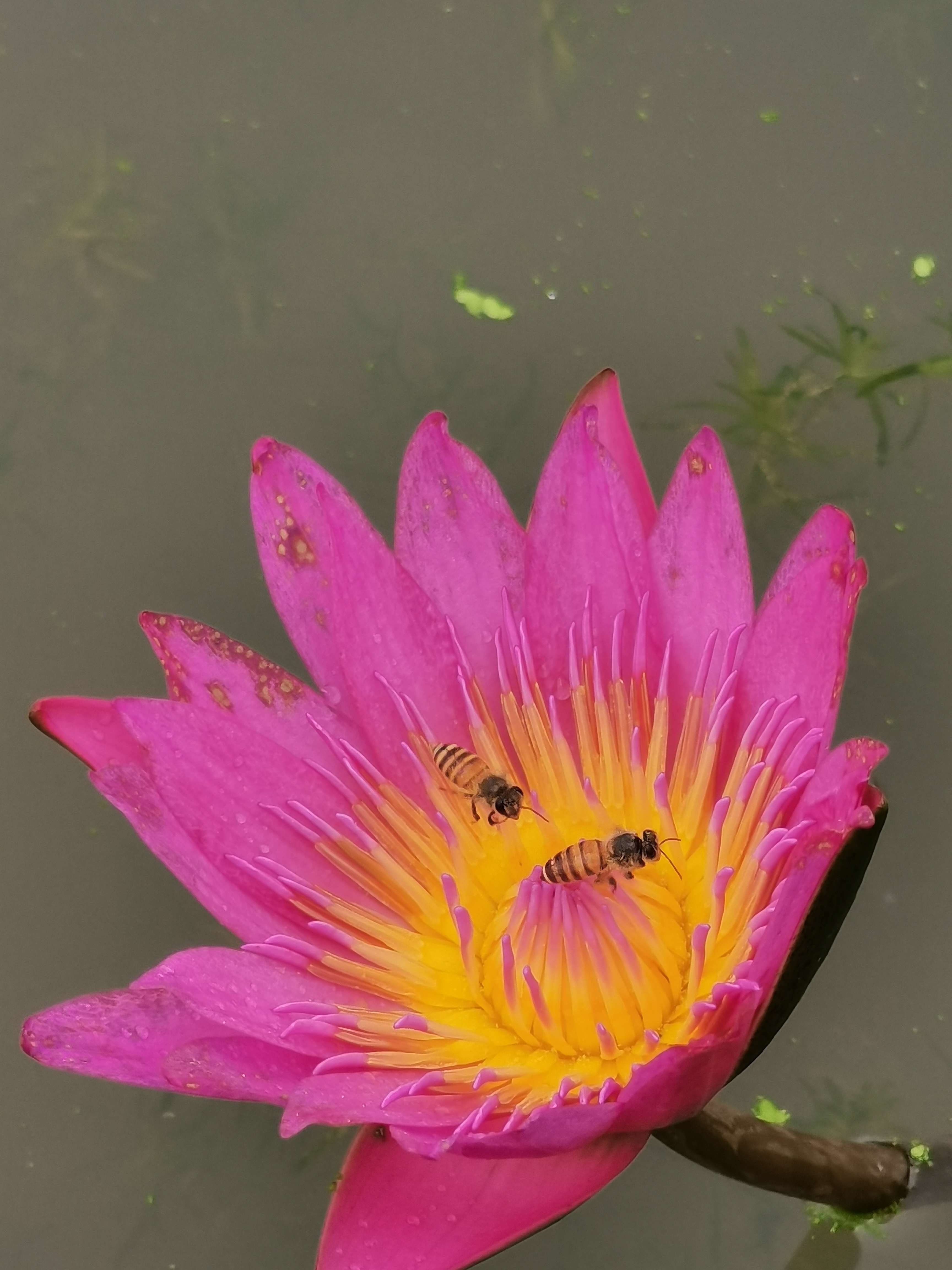 终日穿衣吃饭，也没有穿衣吃饭