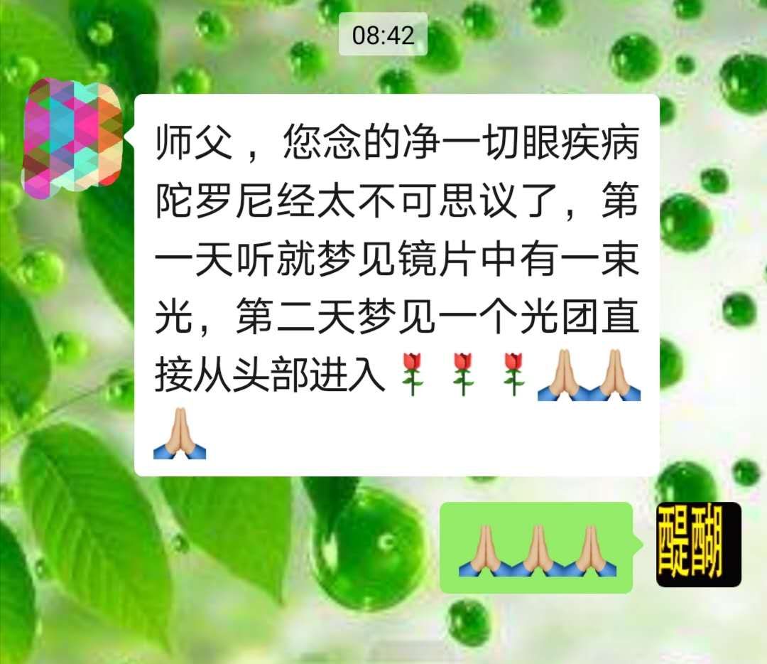 佛说能净一切眼疾病陀罗尼经