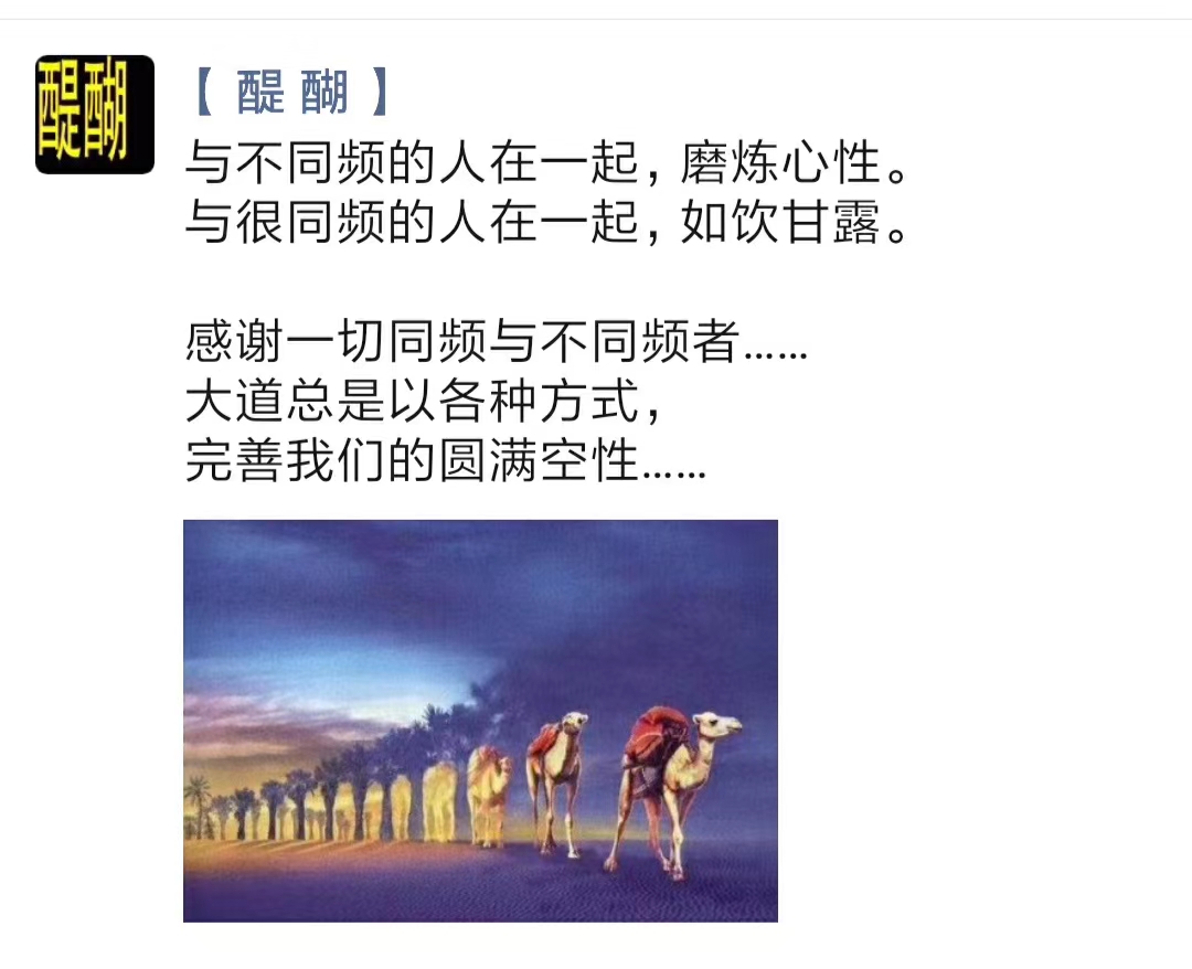 与不同频的人在一起，磨炼心性。 与很同频的人在一起，如饮甘露。  感谢一切同频与不同频者…… 大道总是以各种方式， 完善我们的圆满空性……