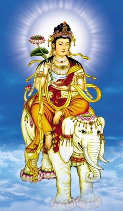 “若有为求无上菩提， 于一事中专心修习，无不成办。”   ——普贤菩萨