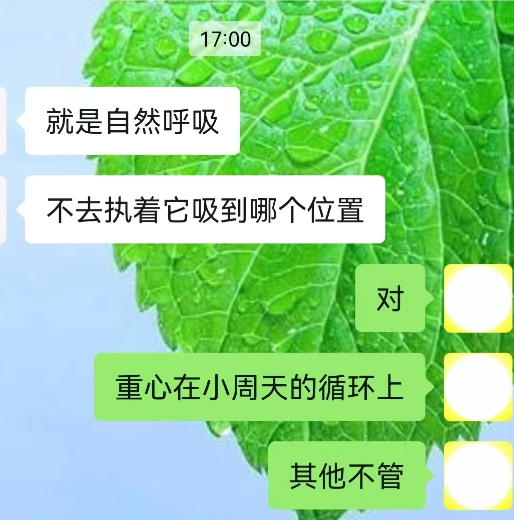 重心在小周天的循环上