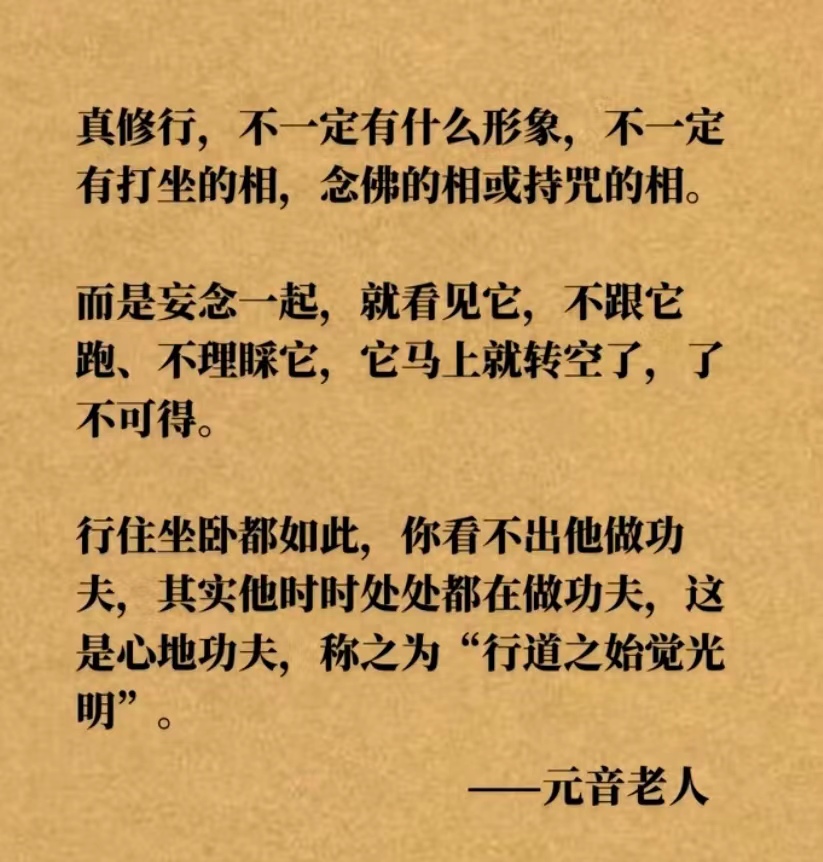 真修行，不一定有什么形象