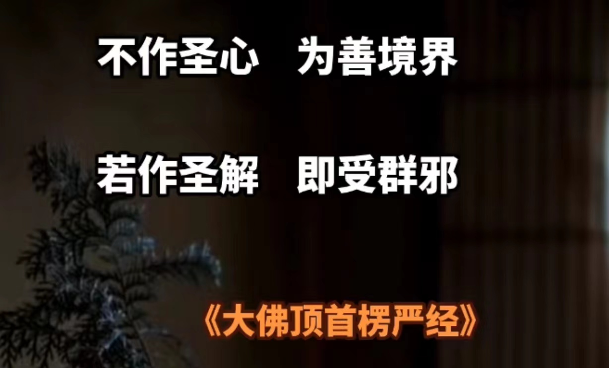 不作圣心 为善境界