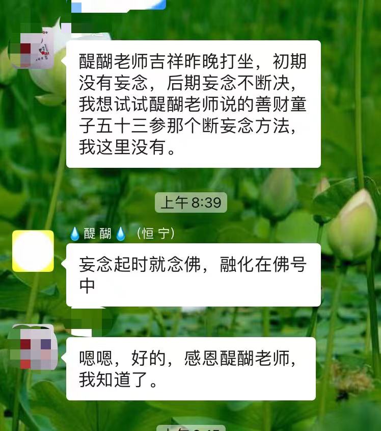 妄念起时就念佛，融化在佛号中