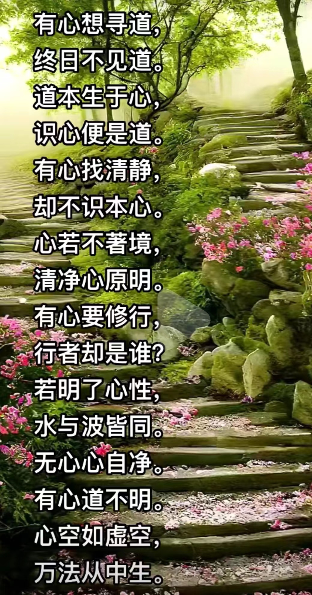 有心想寻道，终日不见道