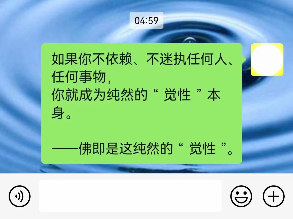 如果你不依赖、不迷执任何人、任何事物