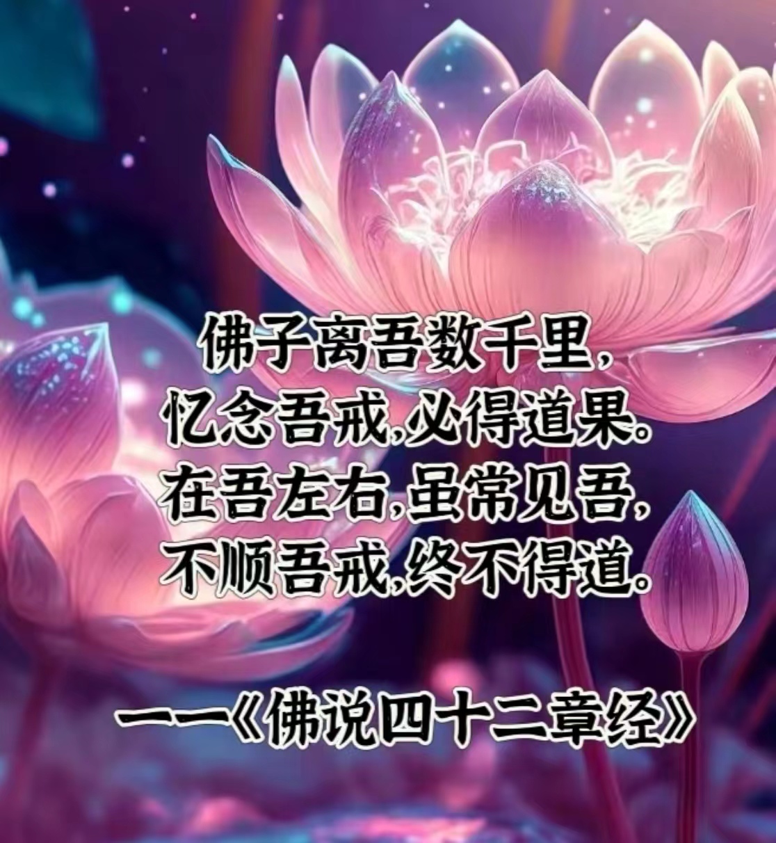 佛子离吾数千里