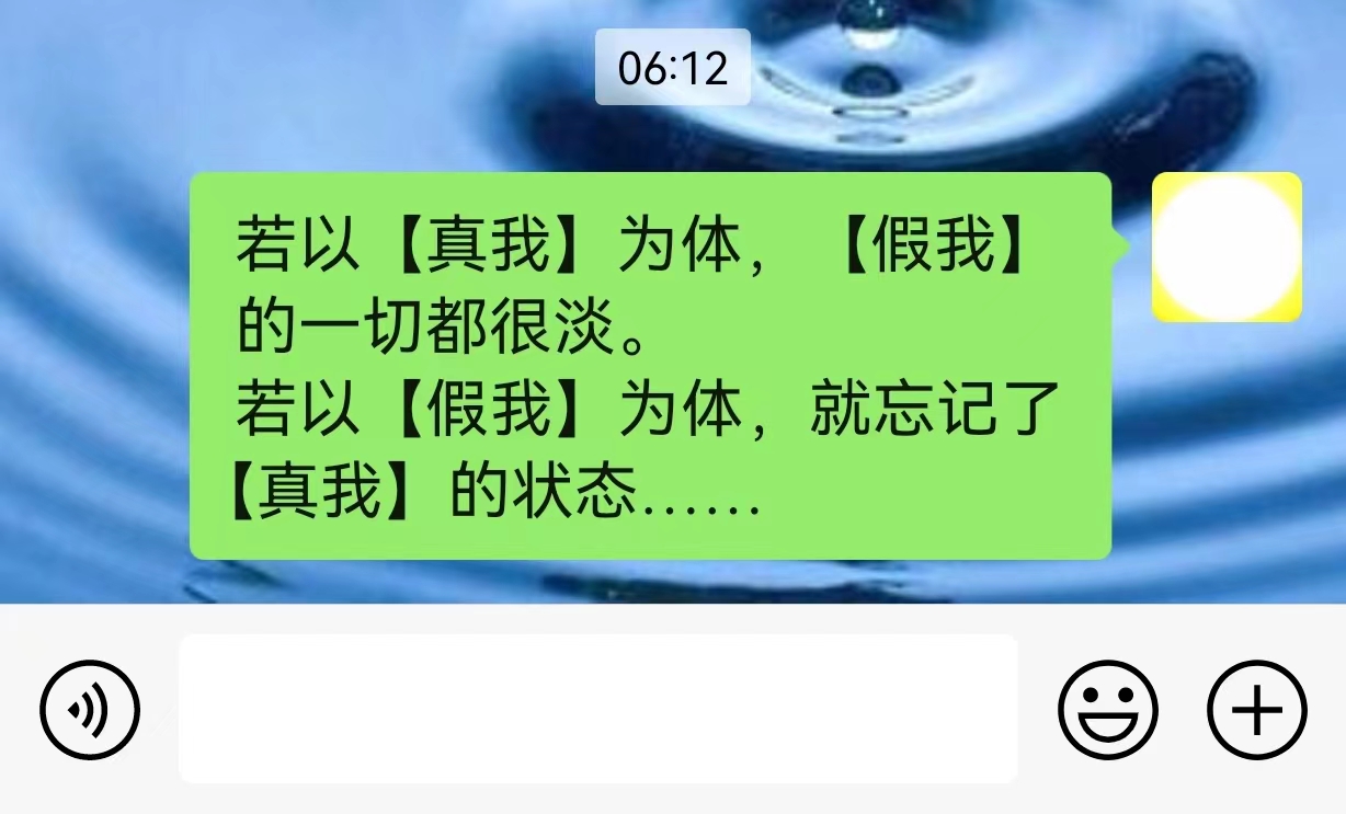 若以[真我] 为体