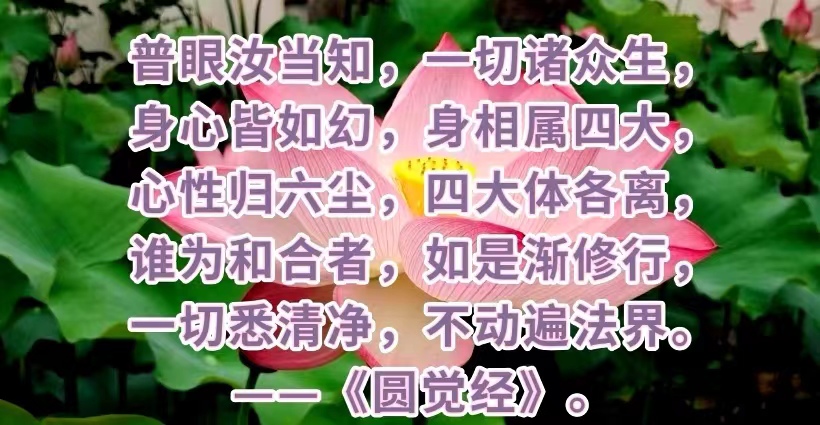 身心皆如幻，身相属四大