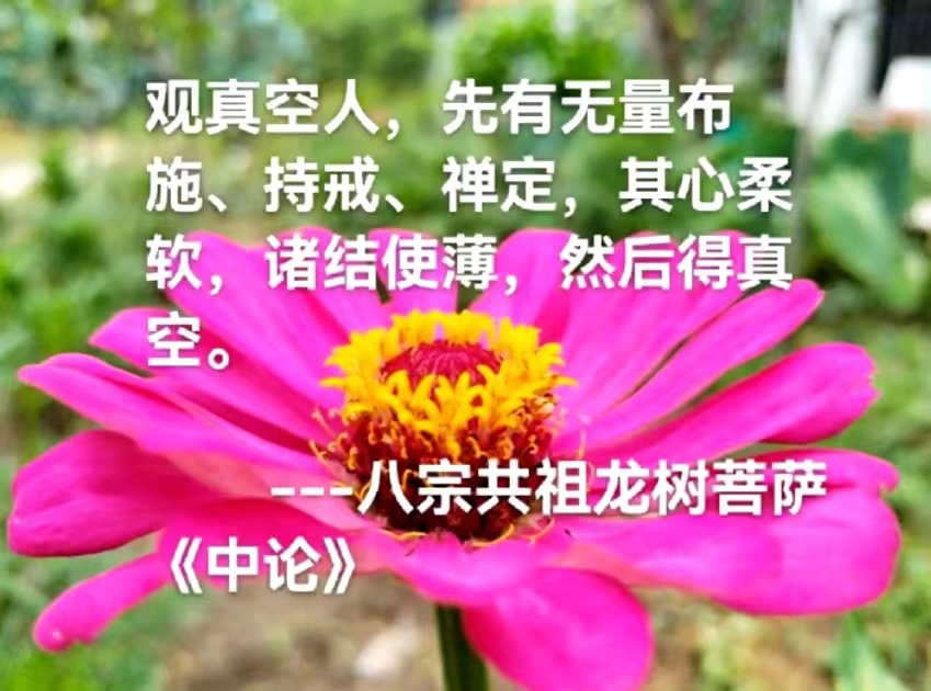 观真空人，先有无量布施、持戒、禅定